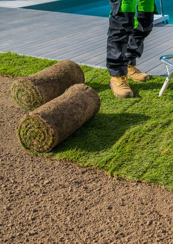 Best sod installation services near me