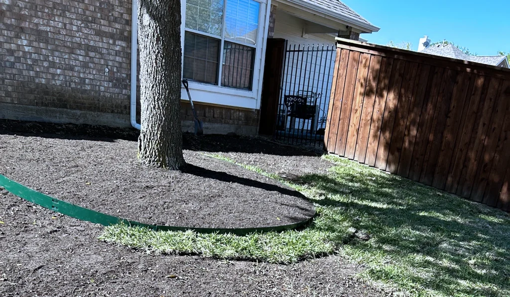 How to Deal with St Augustine Grass Turning to Mush