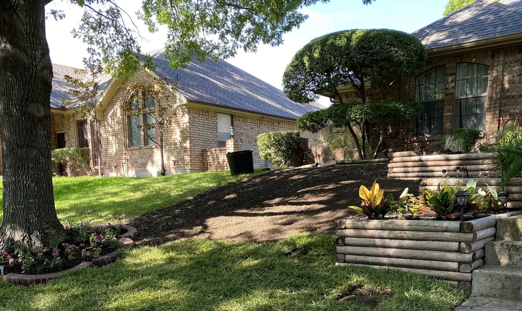 Understanding How Many St Augustine Plugs are Needed