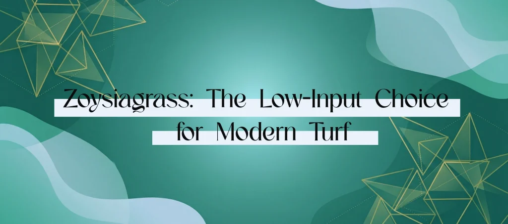 Zoysiagrass: The Low-Input Choice for Modern Turf